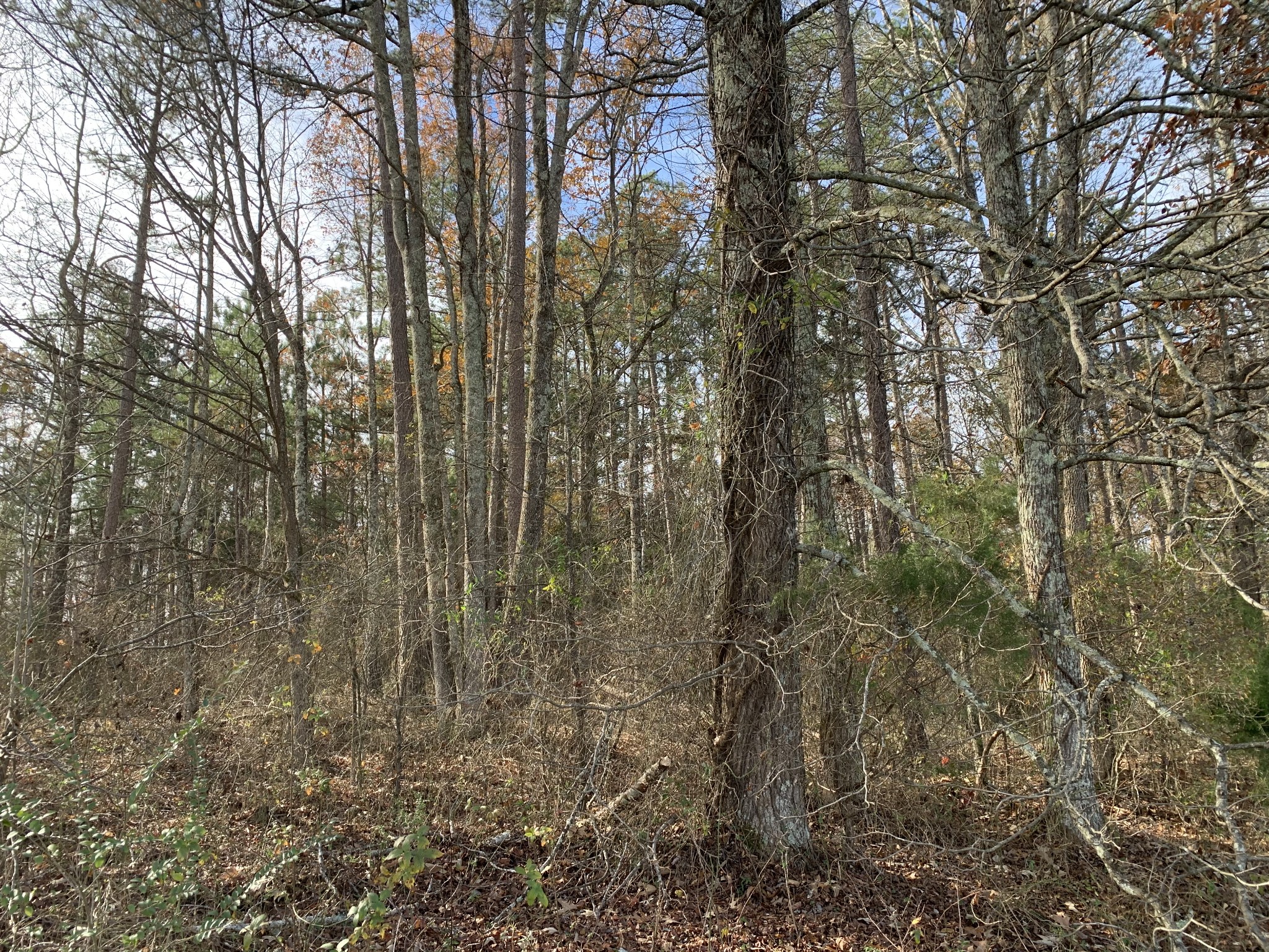 881 Russom Road Finger, TN 38334 - Photo 38 of 61