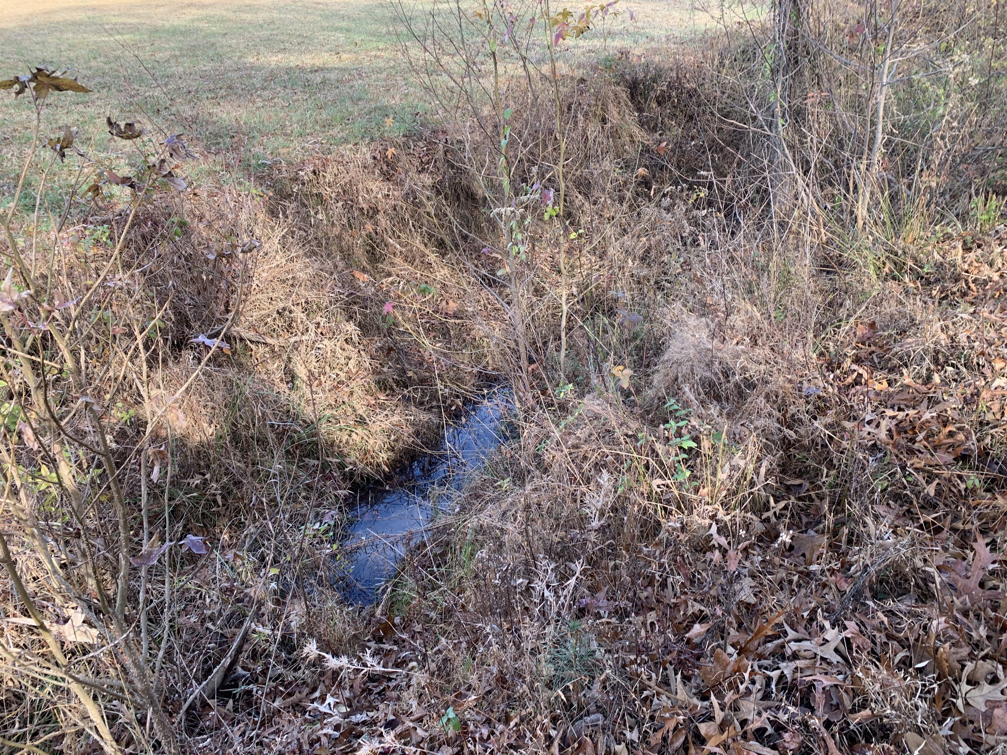 881 Russom Road Finger, TN 38334 - Photo 41 of 61 a view of a dry yard