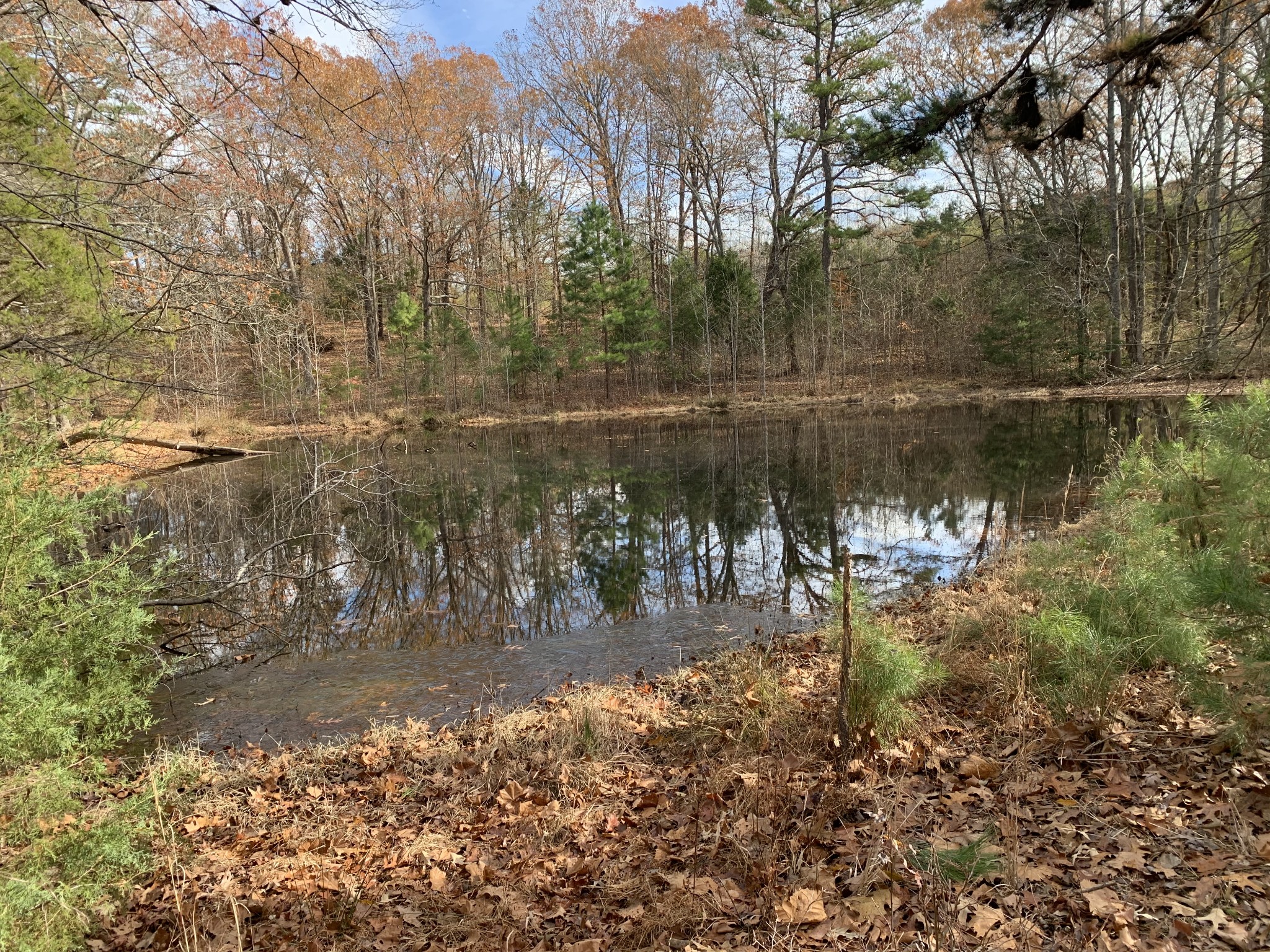 881 Russom Road Finger, TN 38334 - Photo 54 of 61