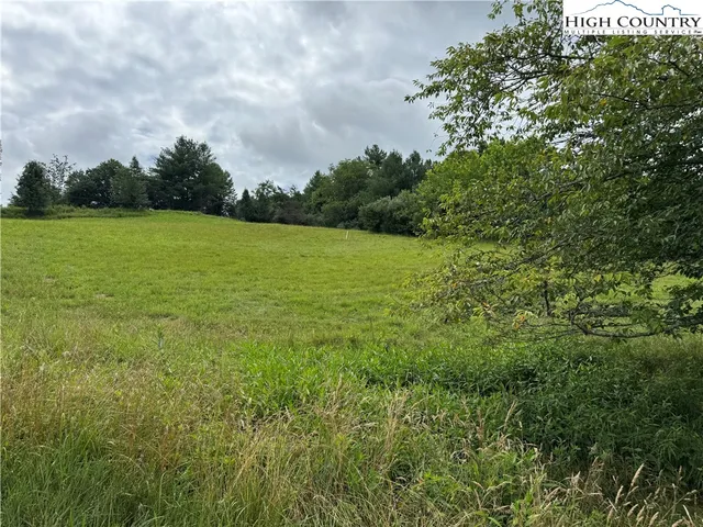 a view of a big yard with plants and large trees