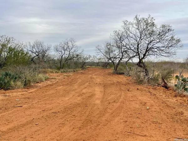a view of dirt yard with a tree