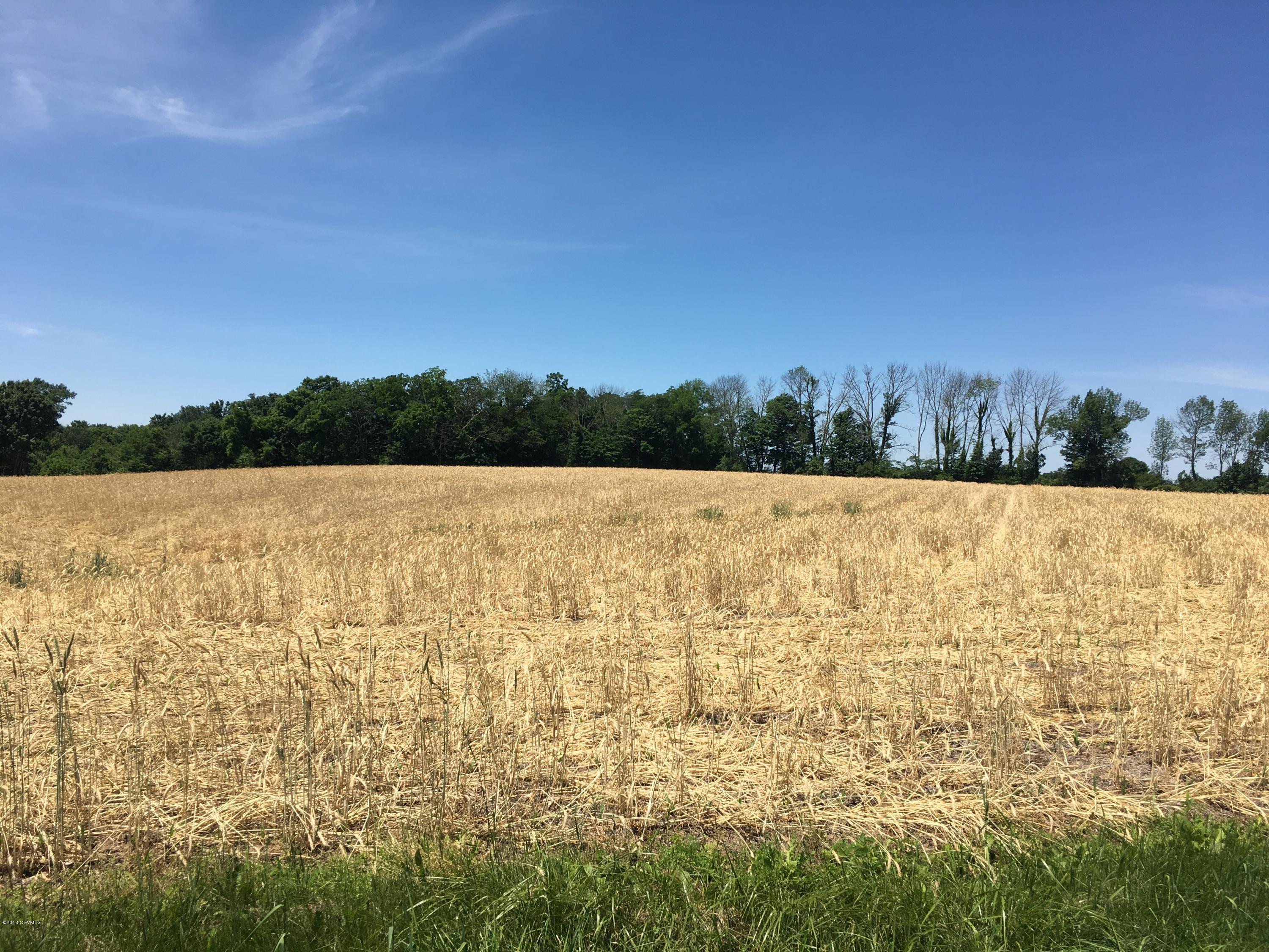Mordans Road Millville, PA 17846 - Photo 14 of 17 Gallery Image 14