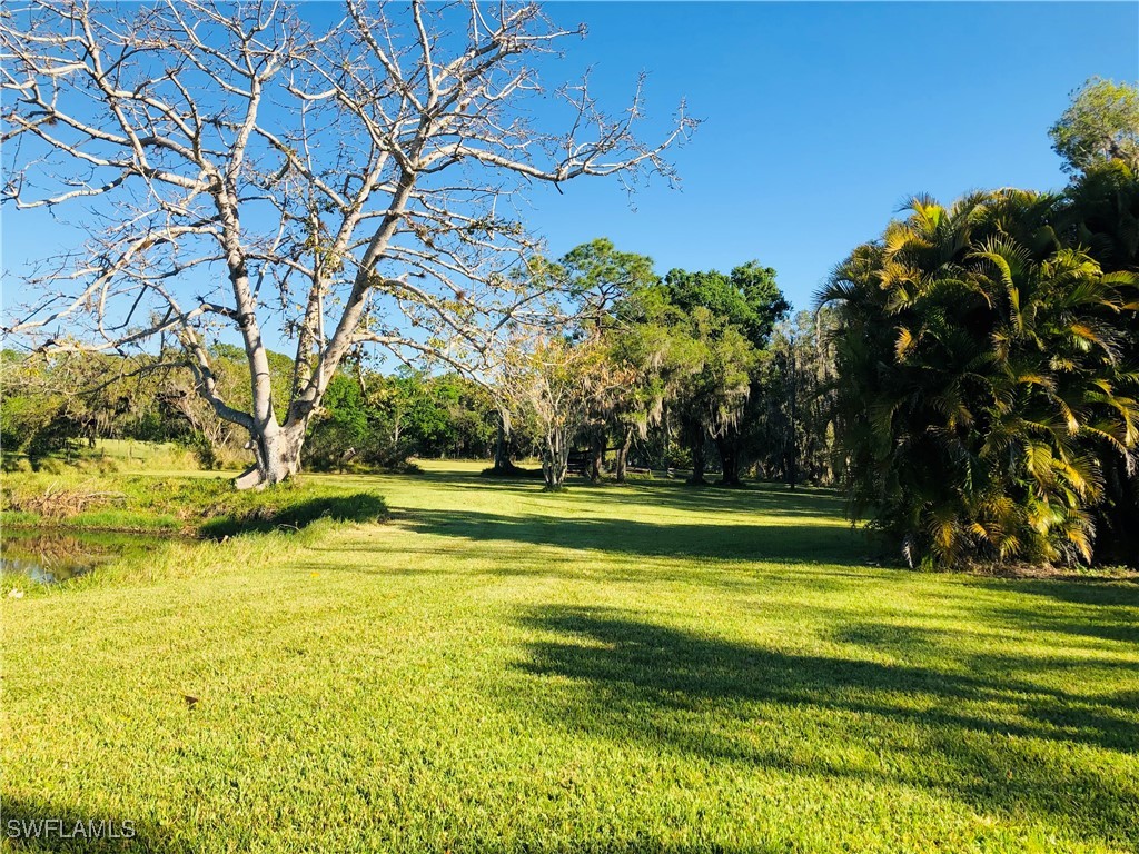 17720 Taylor Road Alva, FL 33920 - Photo 3 of 10 a view of swimming pool with an outdoor space and seating area