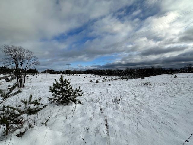 0 West 16 Road Mesick, MI 49668 - Photo 4 of 7