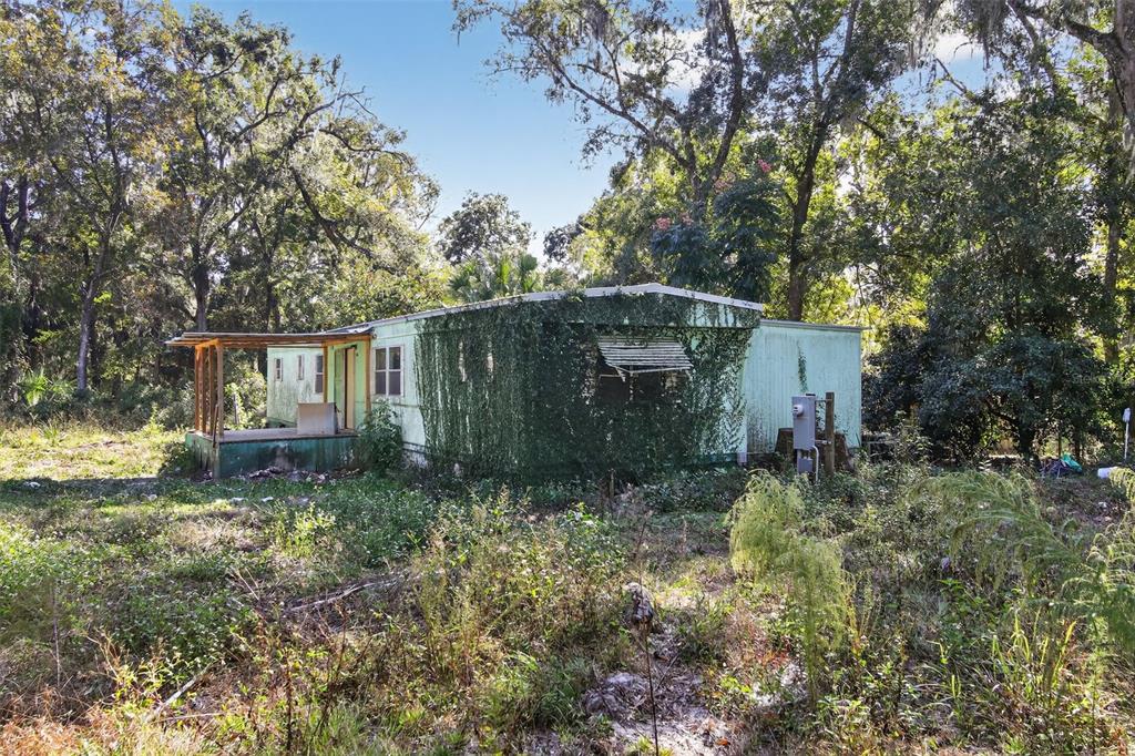 3140 Northeast 162 Place Citra, FL 32113 - Photo 5 of 30 a backyard of a house with lots of green space