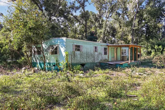 a backyard of a house with large trees and plants