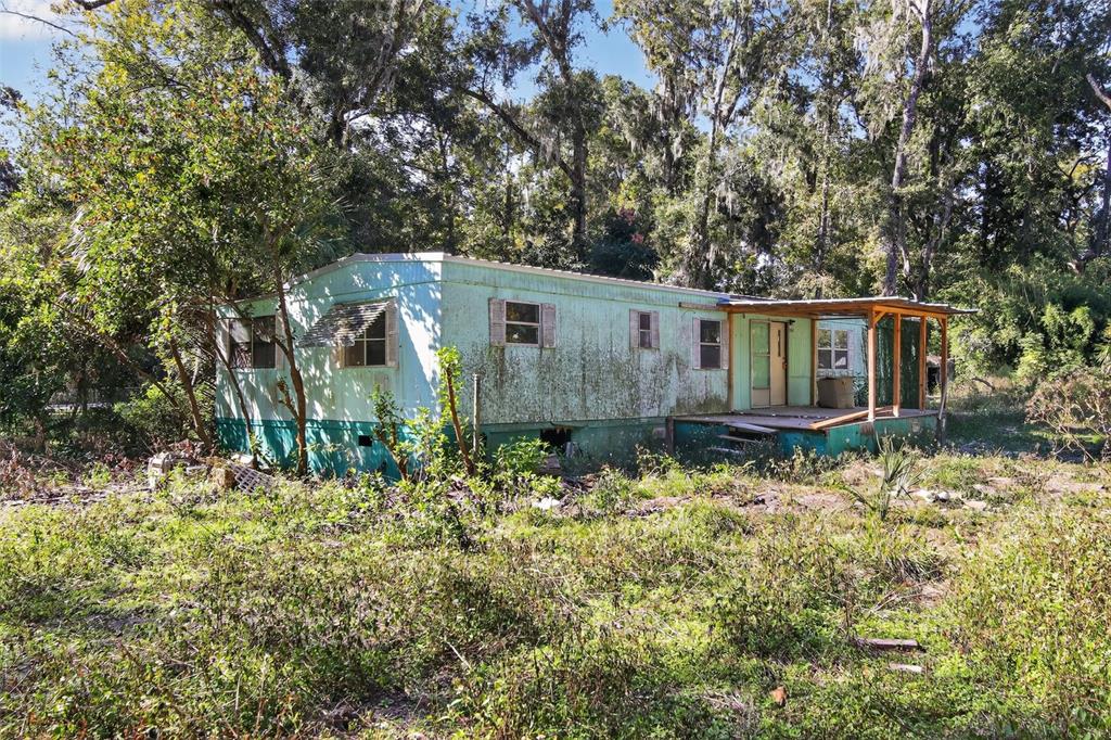 3140 Northeast 162 Place Citra, FL 32113 - Photo 6 of 30 a backyard of a house with large trees and plants