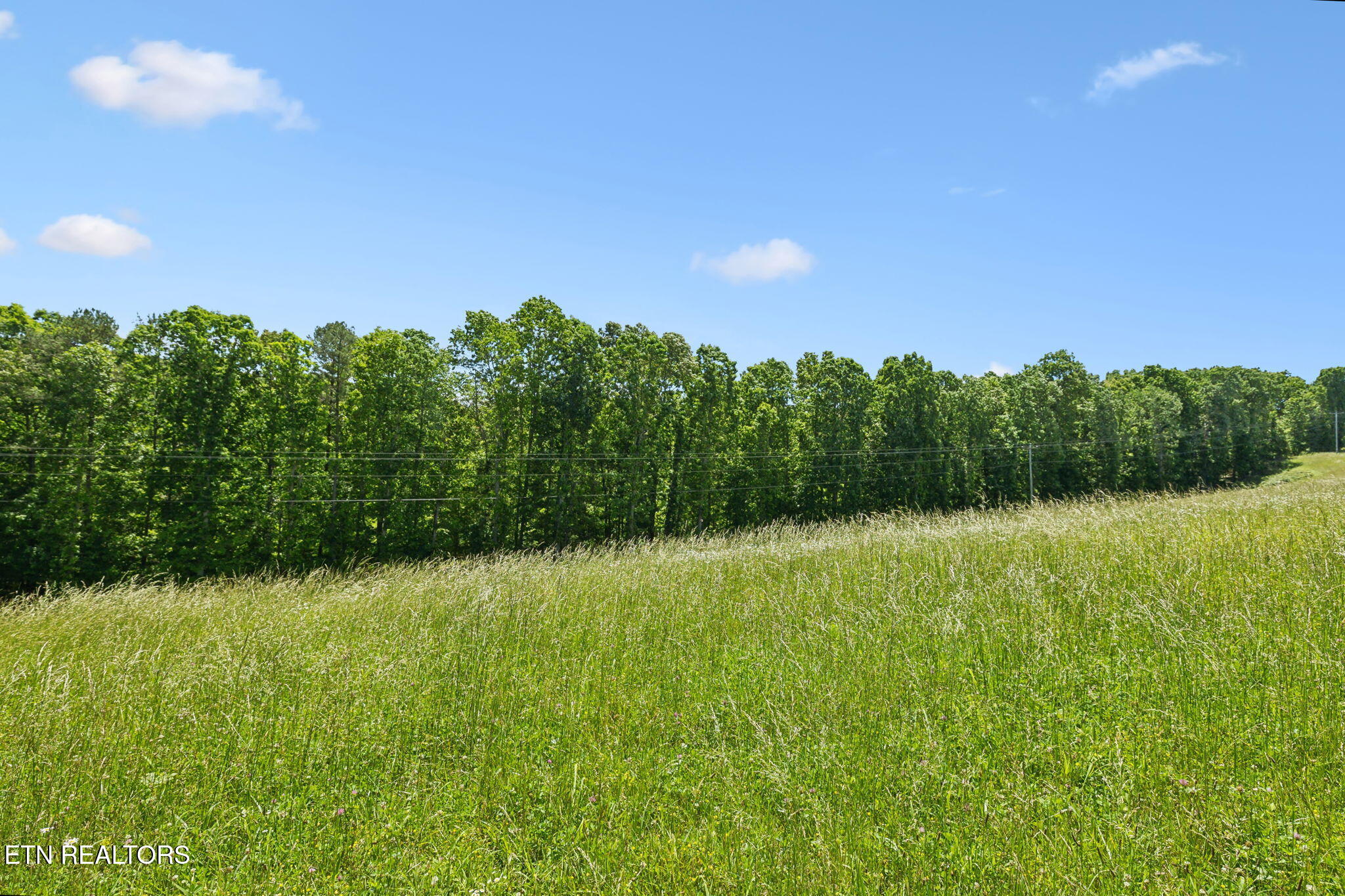 1460 Big Neck Road Grandview, TN 37337 - Photo 8 of 32 Rolling Fields