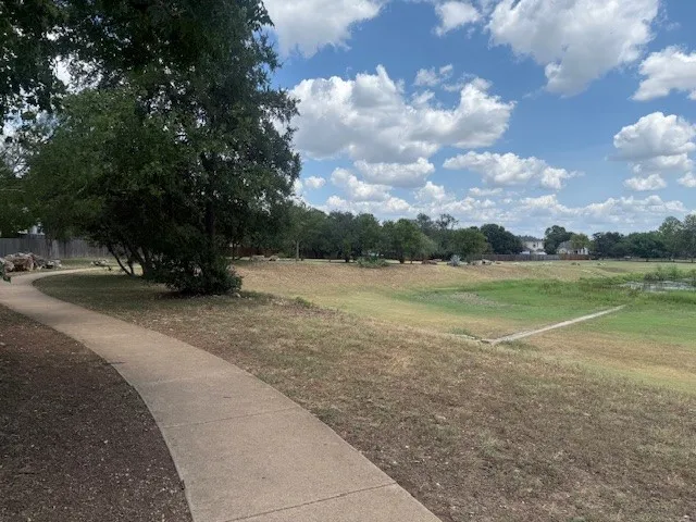 a view of a yard with a tree
