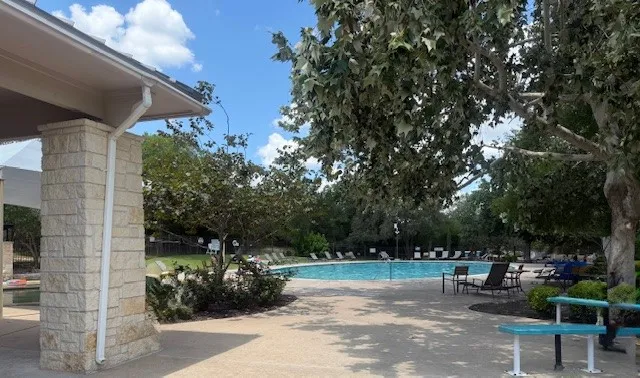 a view of a park with large trees