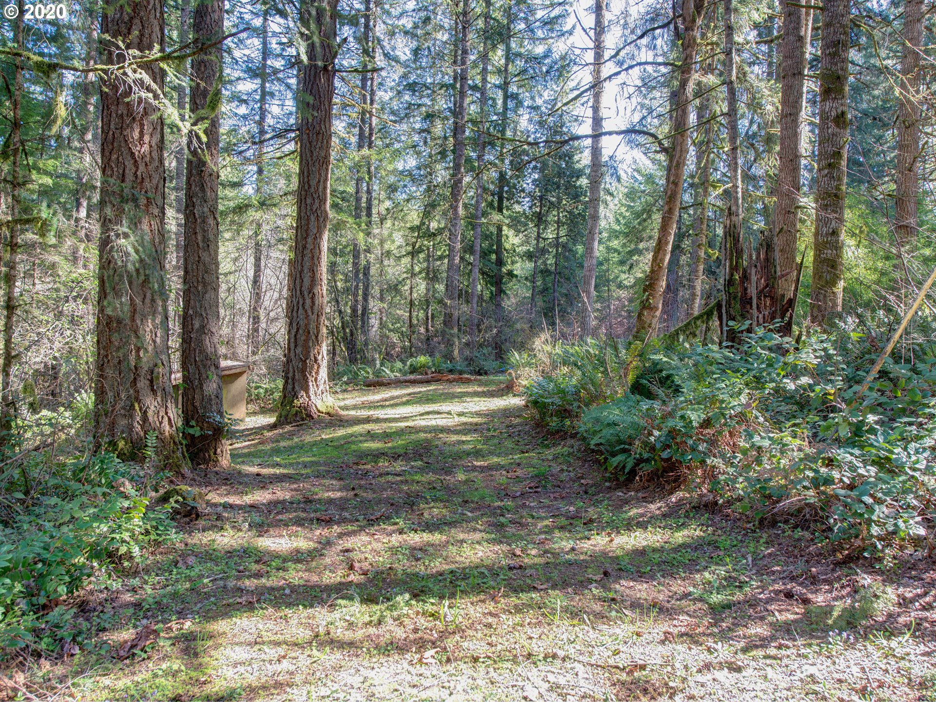 40706 Deerhorn Road Springfield, OR 97478 - Photo 28 of 32 Gallery Image 28
