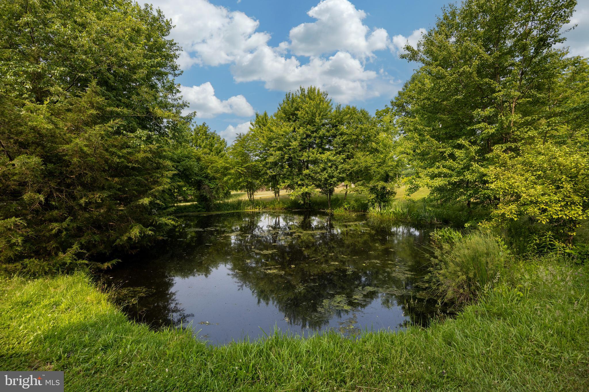 130 Bertolet School Road Spring City, PA 19475 - Photo 9 of 52 Pond