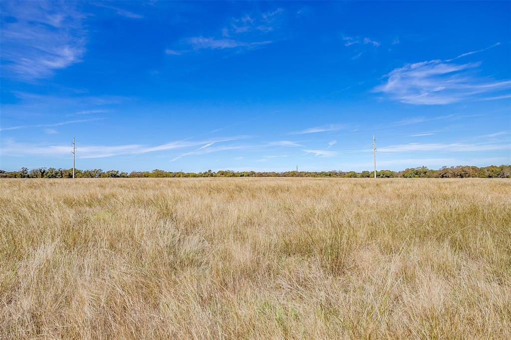 0 County Road 410 Road Alvarado, TX 76009 - Photo 10 of 12 Expansive open field with natural grasses