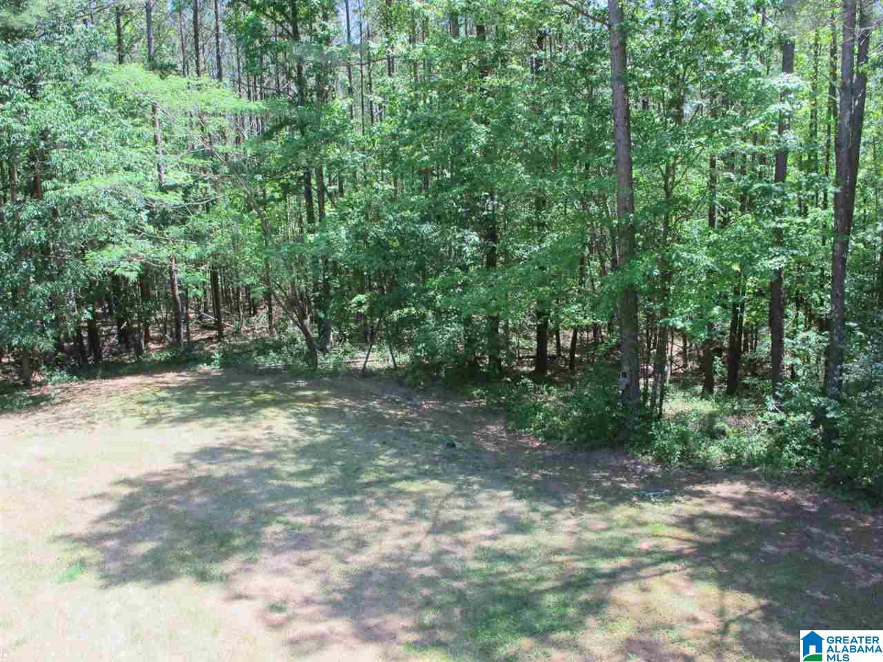 1214 Cedar Creek Road Odenville, AL 35120 - Photo 42 of 46