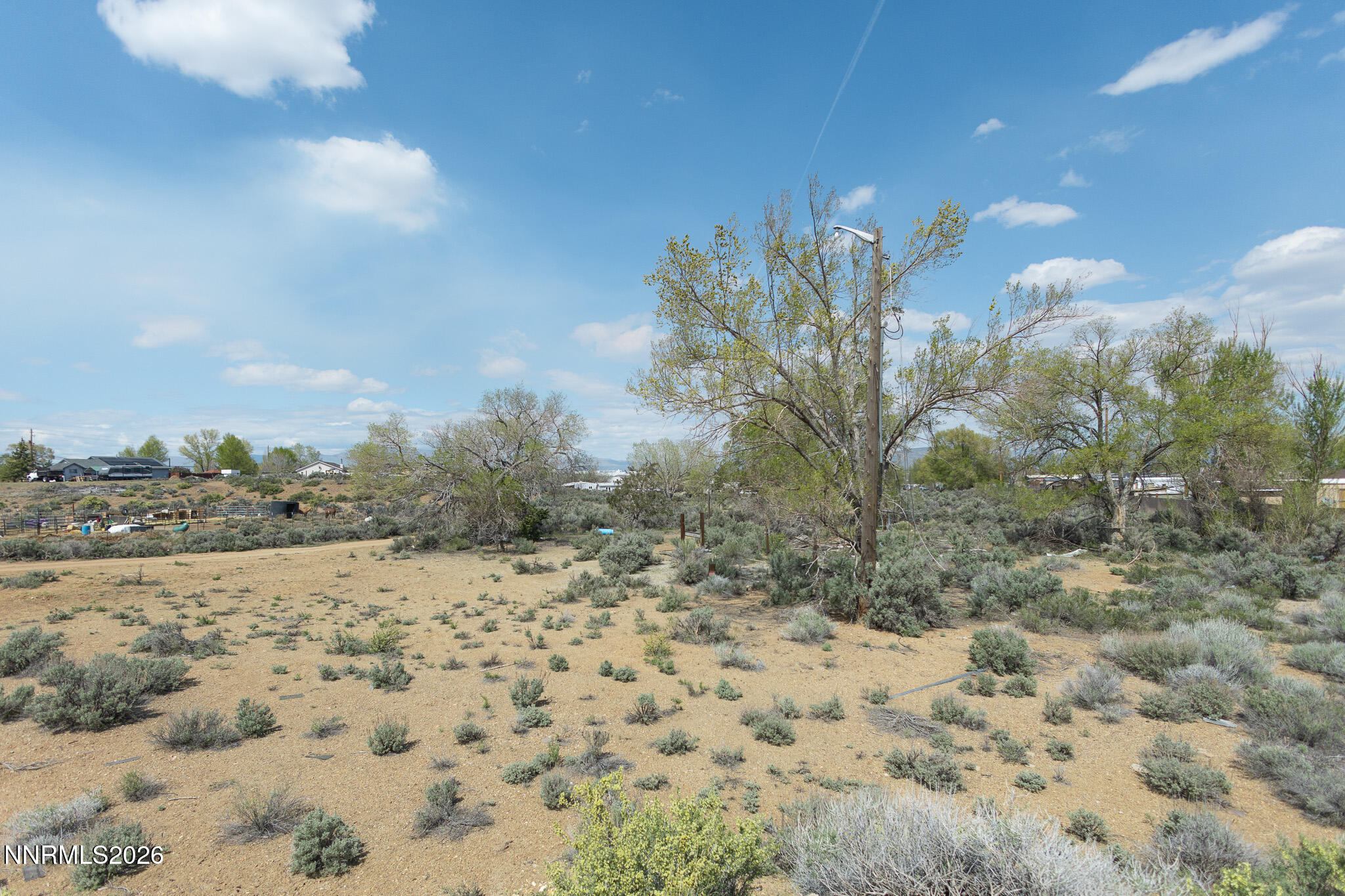 8550 Cindy Avenue Reno, NV 89506 - Photo 36 of 39 a view of a yard with a tree