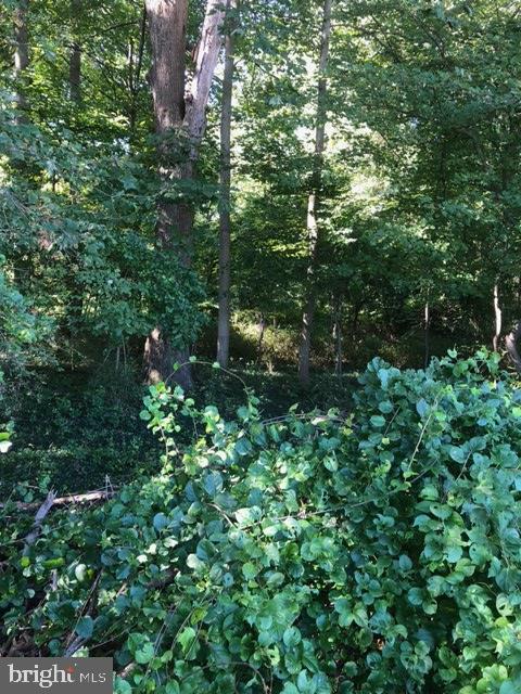 Lot 1 Old Frederick Road Woodbine, MD 21797 - Photo 1 of 5