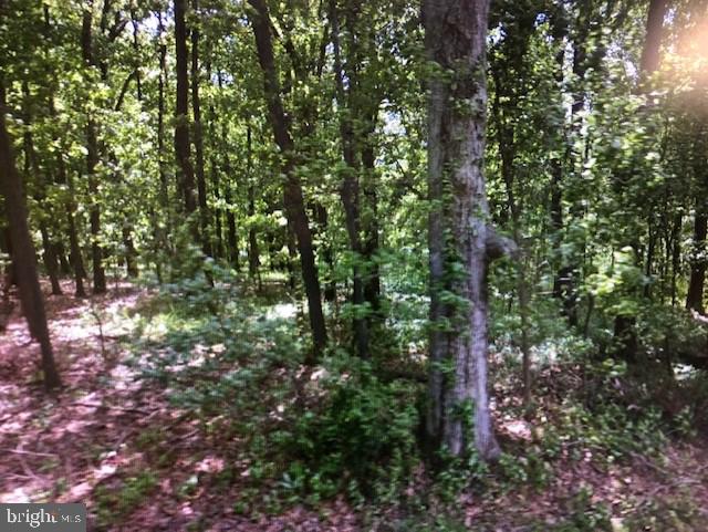 Lot 1 Old Frederick Road Woodbine, MD 21797 - Photo 5 of 5