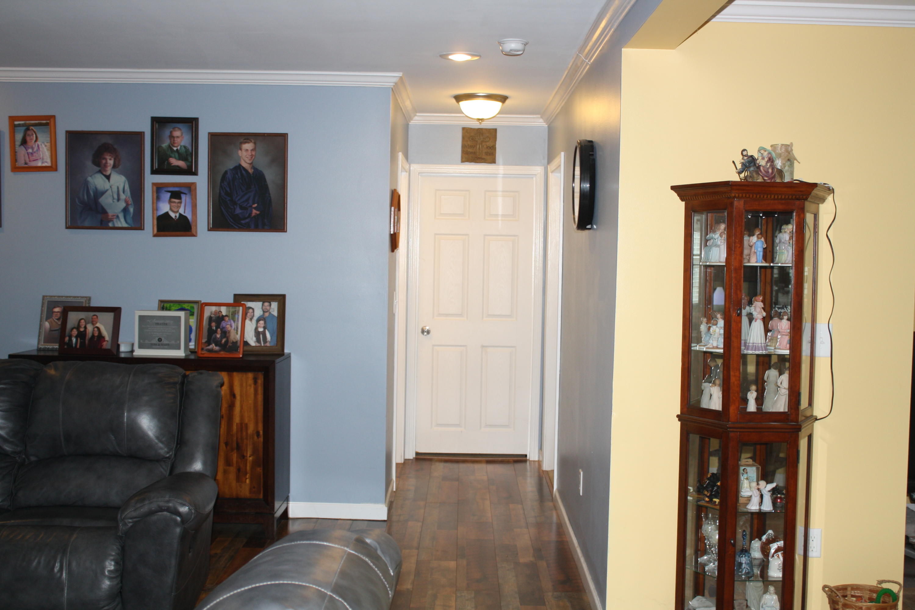 1187 Case View Road Dandridge, TN 37725 - Photo 4 of 28 1187 LR Hall
