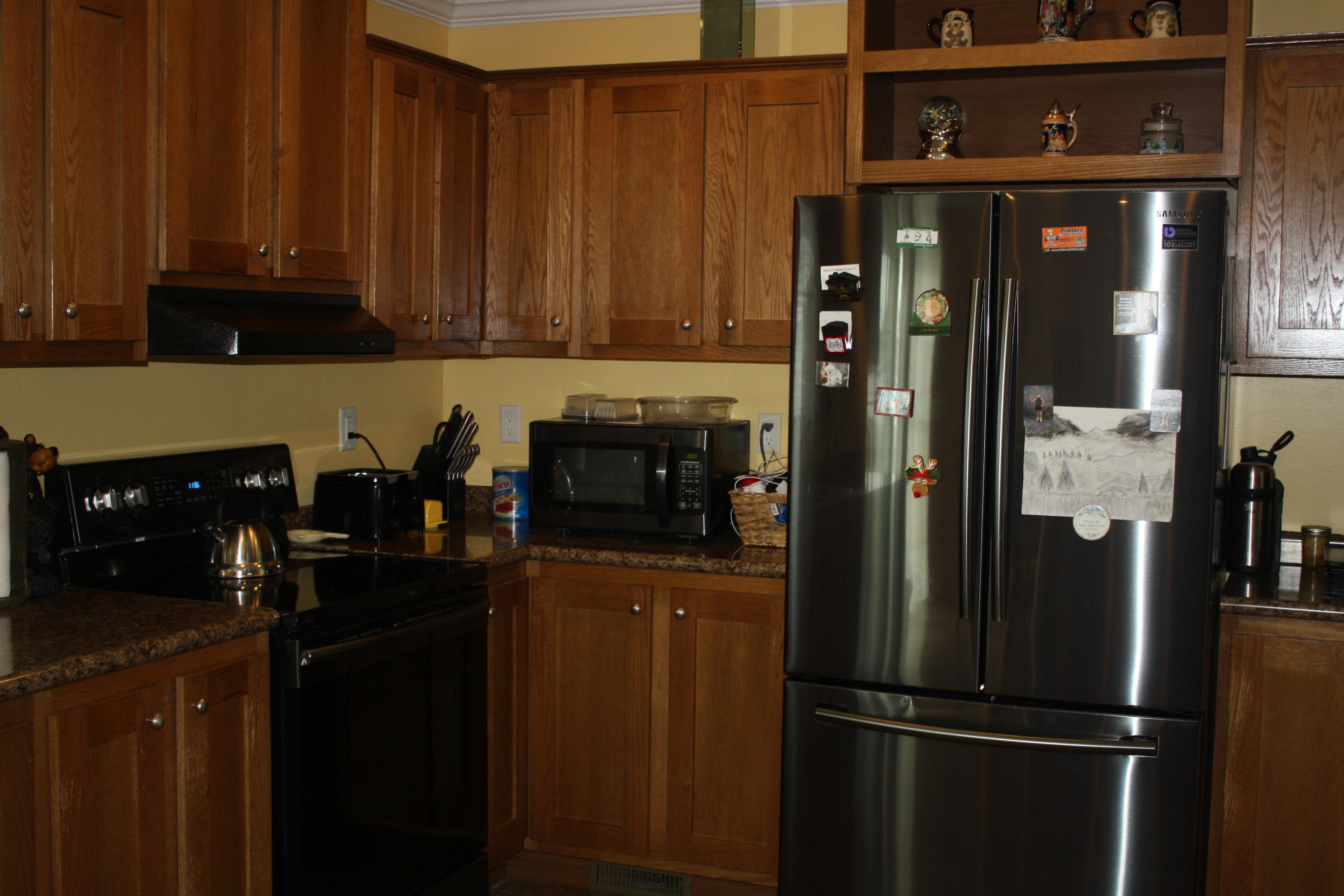 1187 Case View Road Dandridge, TN 37725 - Photo 7 of 28 1187 Kitchen II