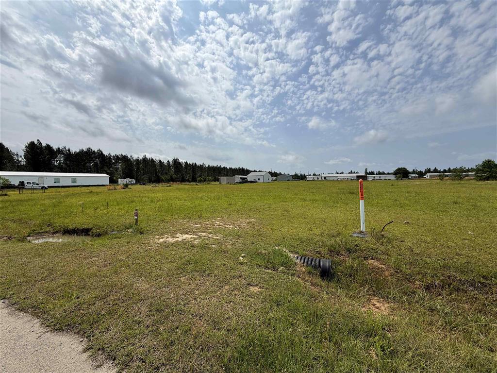0 Amanda Drive, Unit LOT 1 Reeves, LA 70658 - Photo 3 of 8