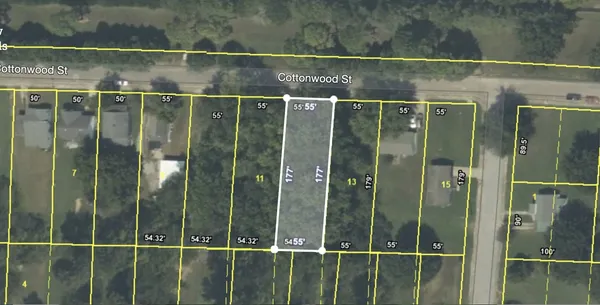 a view of a trees with a yard