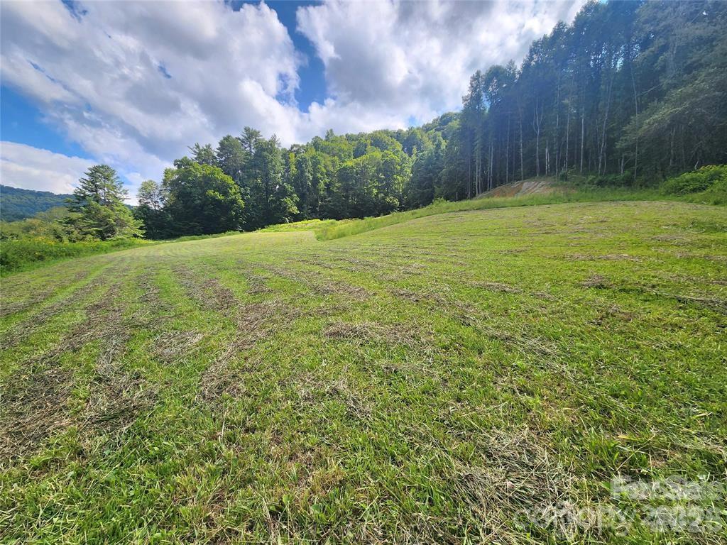 5570 Meadow Fork Road Hot Springs, NC 28743 - Photo 1 of 18 a view of a yard with a tree