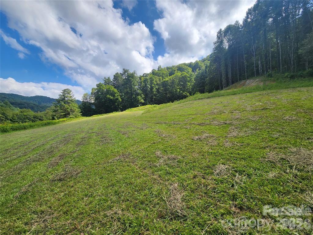 5570 Meadow Fork Road Hot Springs, NC 28743 - Photo 11 of 18 a view of a big yard with lots of green space
