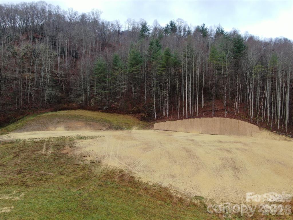 5570 Meadow Fork Road Hot Springs, NC 28743 - Photo 15 of 18 a view of a backyard