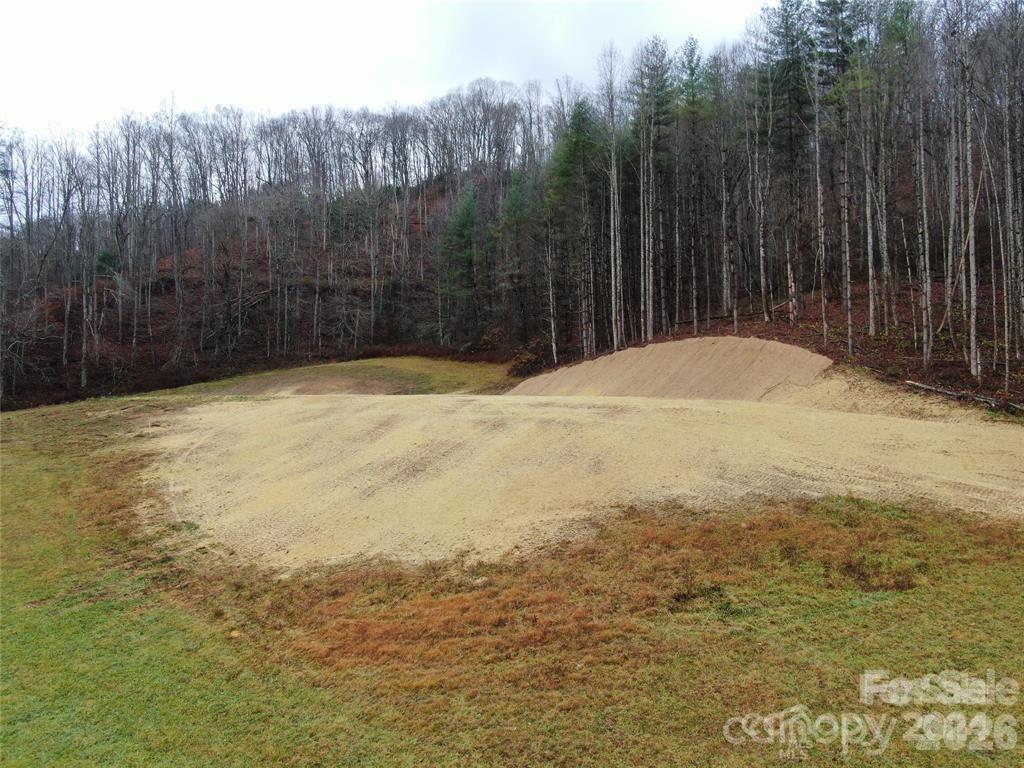 5570 Meadow Fork Road Hot Springs, NC 28743 - Photo 17 of 18 a view of a backyard