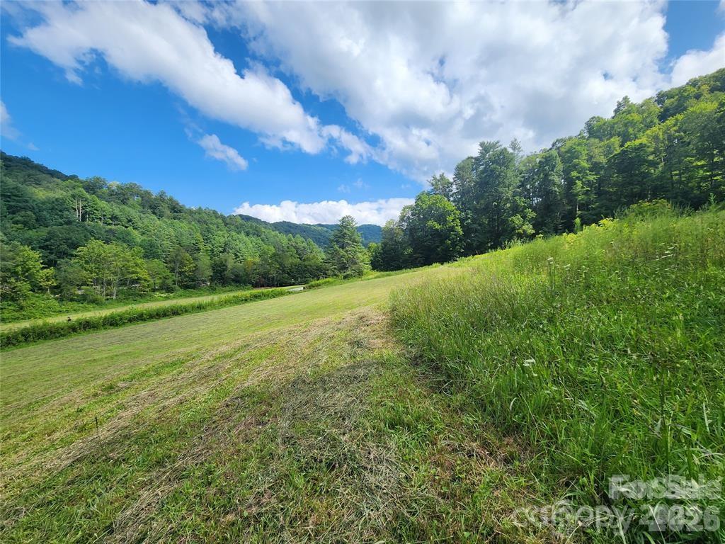 5570 Meadow Fork Road Hot Springs, NC 28743 - Photo 2 of 18 a view of an outdoor space and a yard