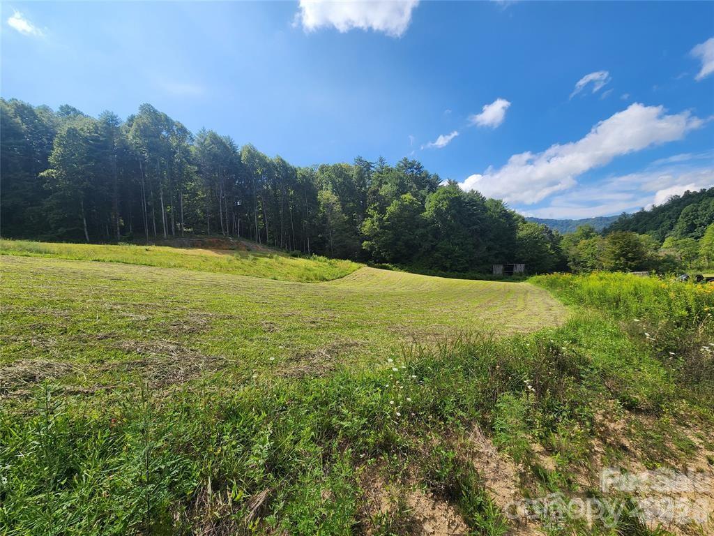 5570 Meadow Fork Road Hot Springs, NC 28743 - Photo 4 of 18 a view of an ocean and a yard