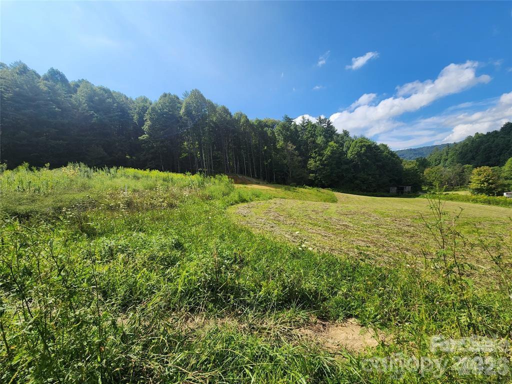 5570 Meadow Fork Road Hot Springs, NC 28743 - Photo 5 of 18 a view of an outdoor space and a yard