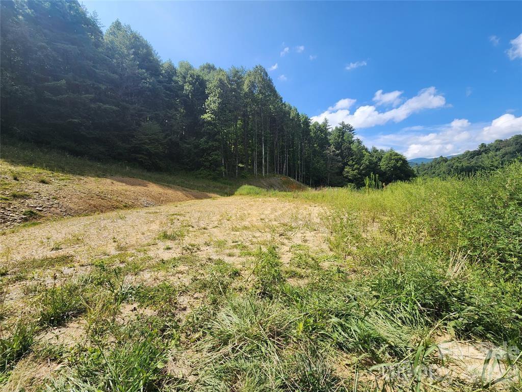 5570 Meadow Fork Road Hot Springs, NC 28743 - Photo 8 of 18 a view of a yard with an outdoor space