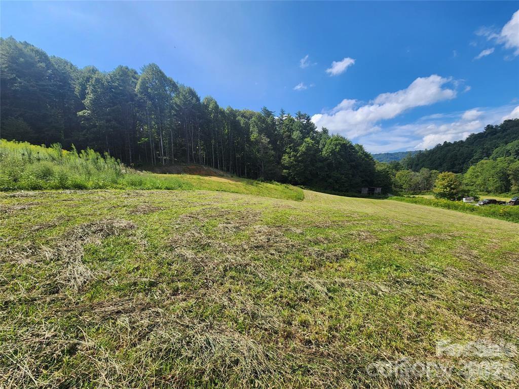 5570 Meadow Fork Road Hot Springs, NC 28743 - Photo 9 of 18 a view of a field with an trees