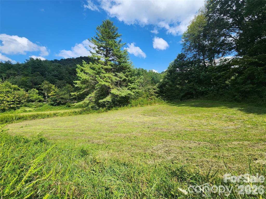 5570 Meadow Fork Road Hot Springs, NC 28743 - Photo 10 of 18 a view of an ocean from a yard