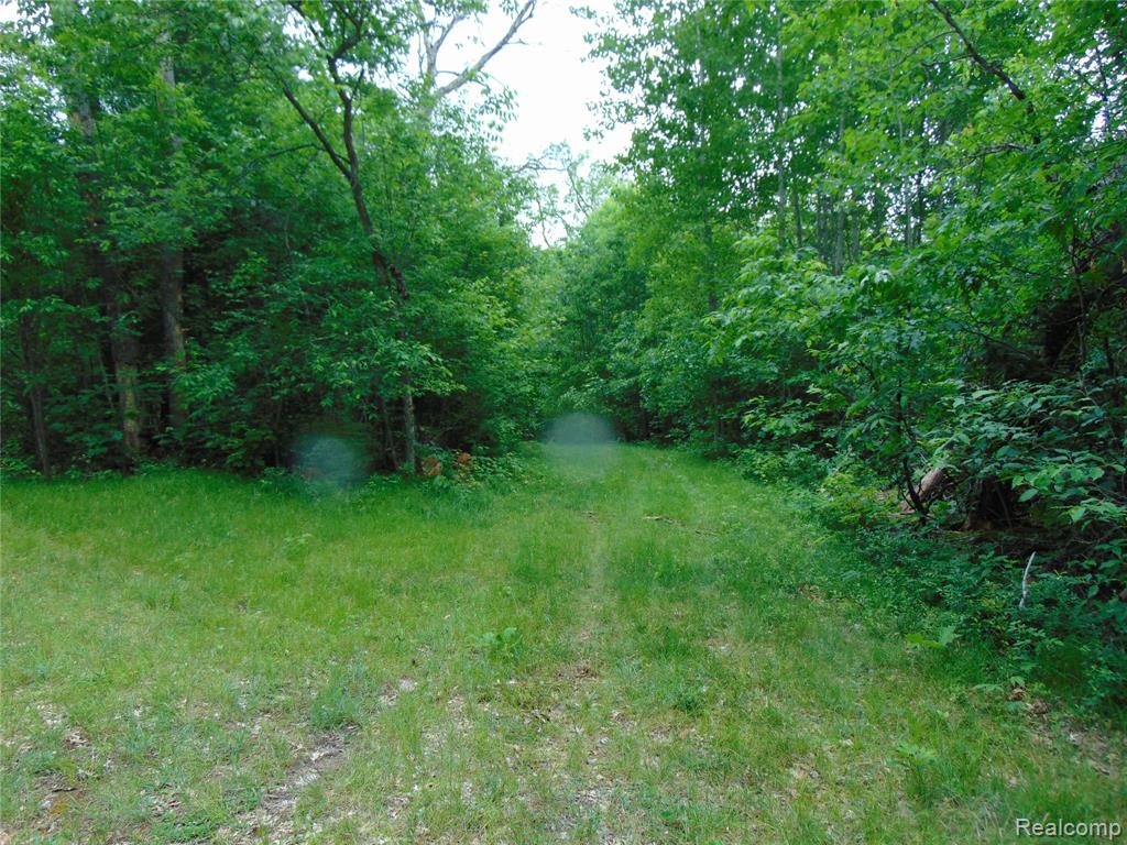 5055 Adams Road Gladwin, MI 48624 - Photo 14 of 35