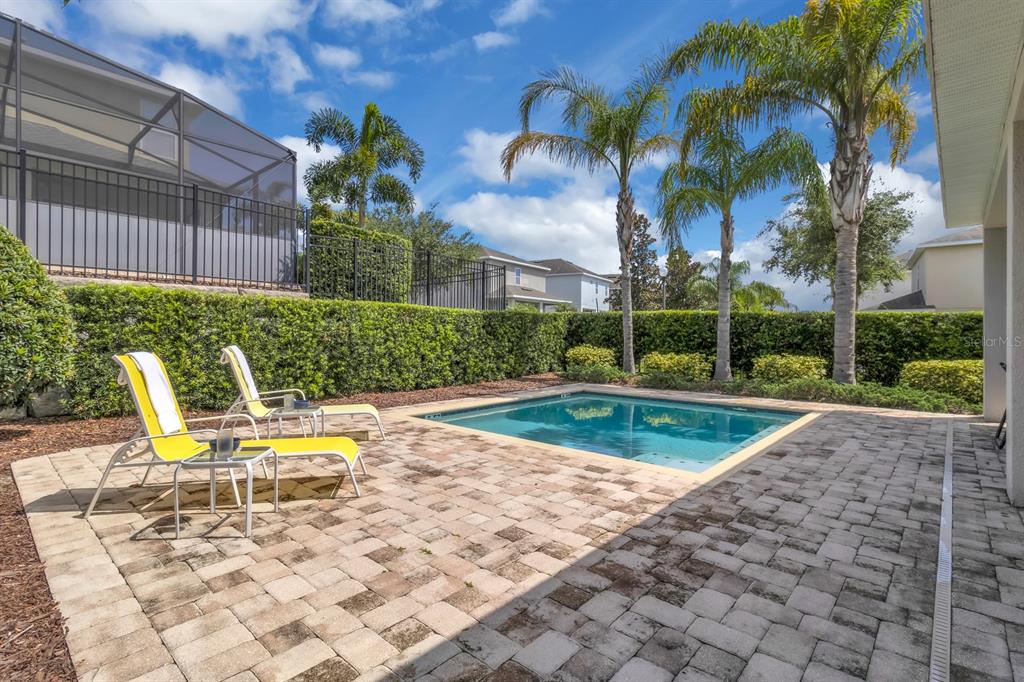 7403 Marker Avenue Kissimmee, FL 34747 - Photo 39 of 49 a view of a swimming pool with a patio and plants