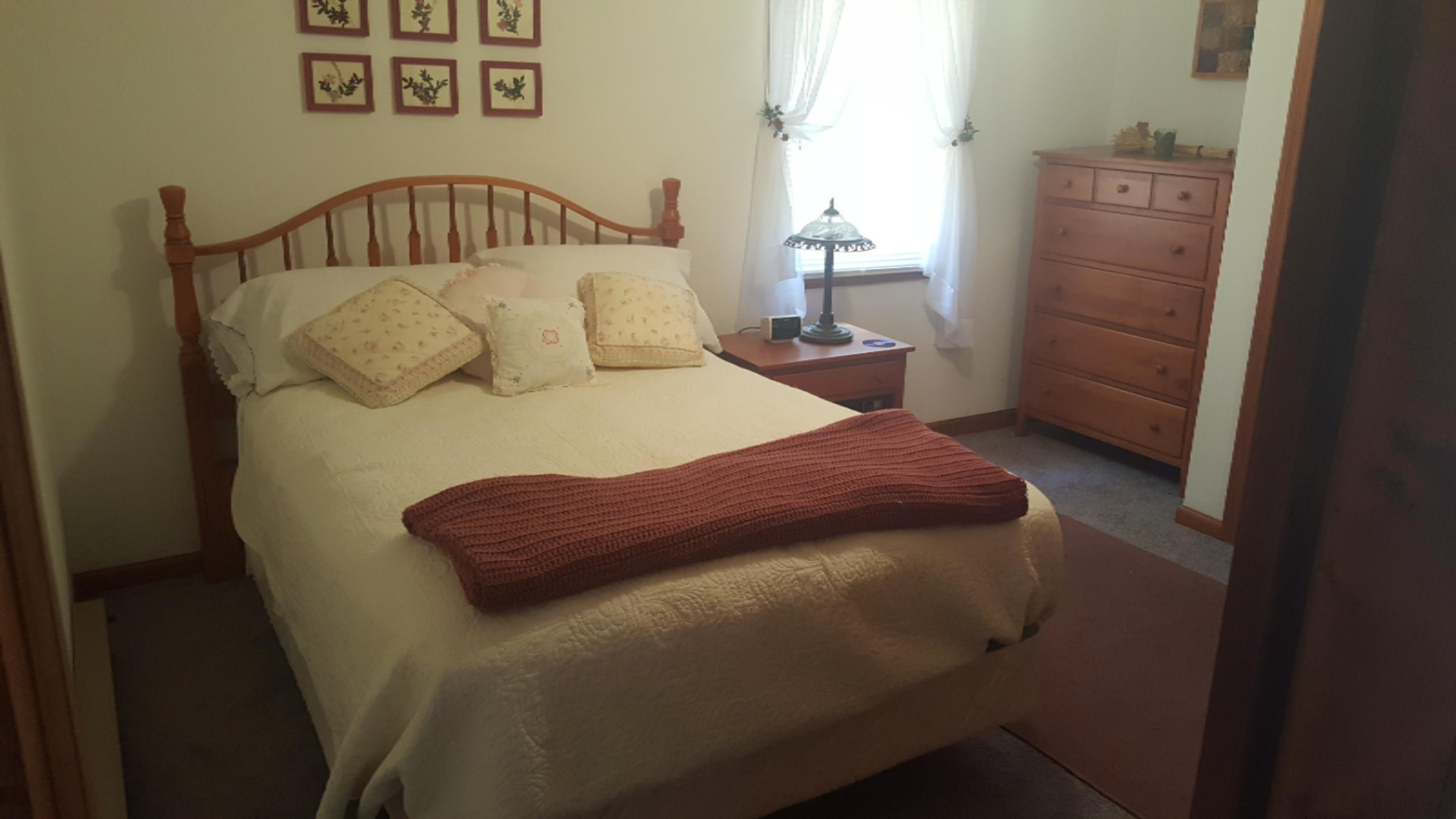 10474 Walnut Drive Three Rivers, MI 49093 - Photo 12 of 27 20160613_161444