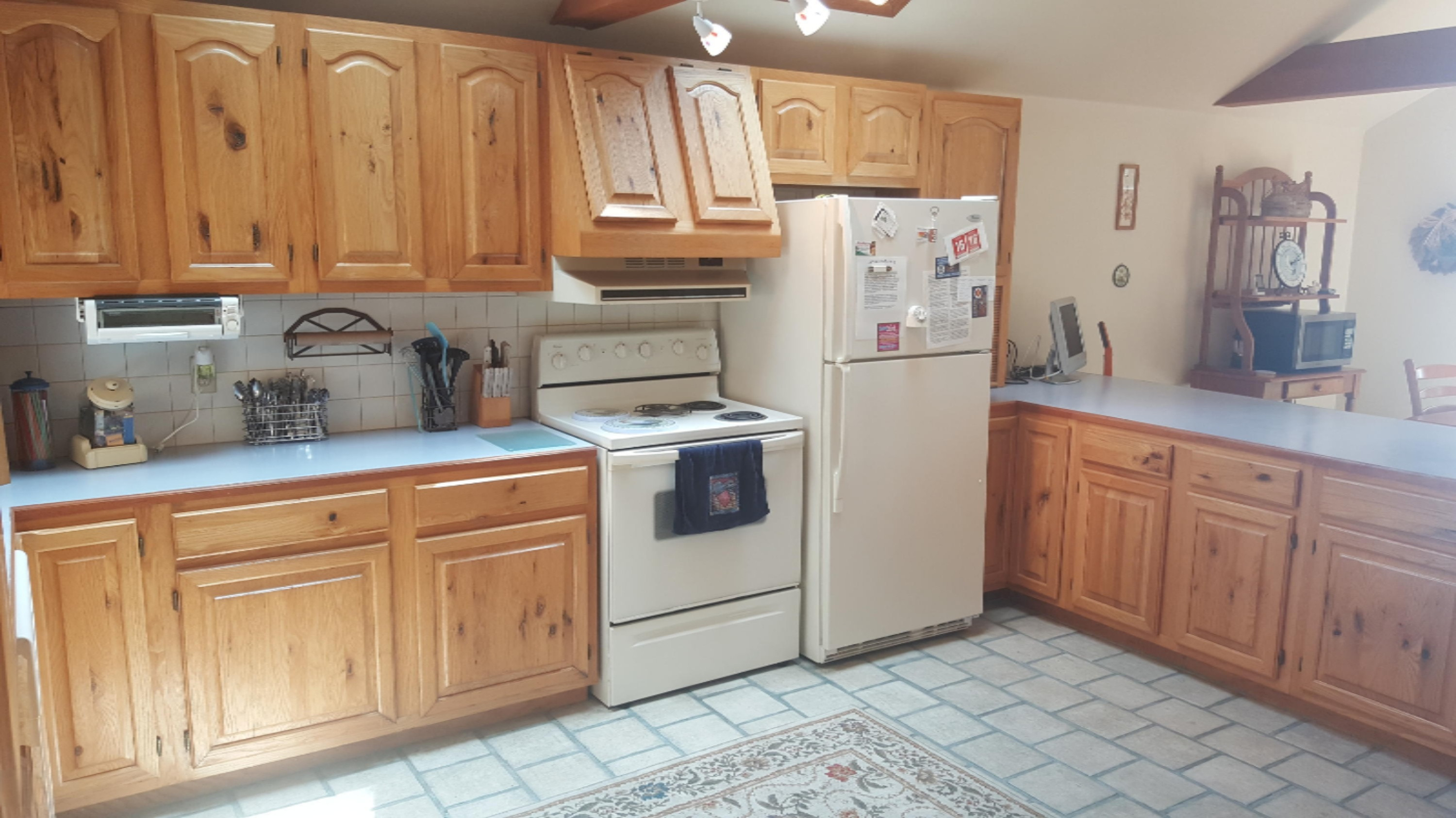 10474 Walnut Drive Three Rivers, MI 49093 - Photo 14 of 27 20160613_161508