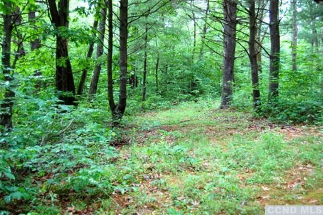 0 Post Hill Road Taghkanic, NY 12502 - Photo 3 of 6 a view of a lush green forest