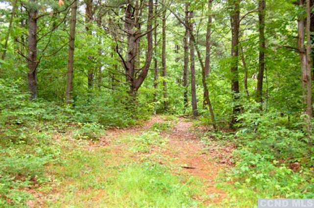 0 Post Hill Road Taghkanic, NY 12502 - Photo 4 of 6 a view of a yard with plants and trees