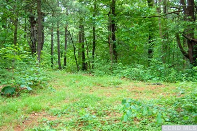 0 Post Hill Road Taghkanic, NY 12502 - Photo 5 of 6 a view of a lush green forest