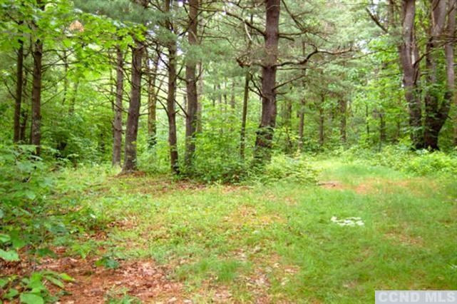 0 Post Hill Road Taghkanic, NY 12502 - Photo 6 of 6 a view of outdoor space with a yard