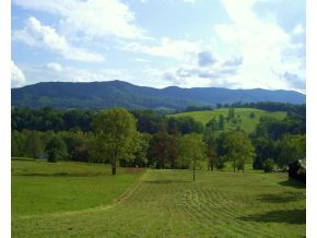 Tbd Cornett Road, Unit 10 Damascus, VA 24236 - Photo 1 of 6 GENTLY SLOPING LOT