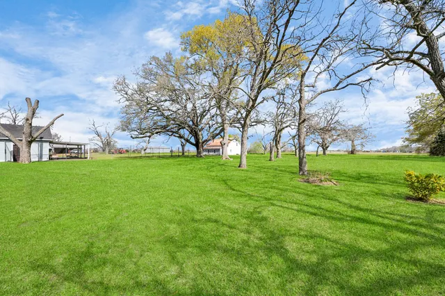a view of yard and ocean