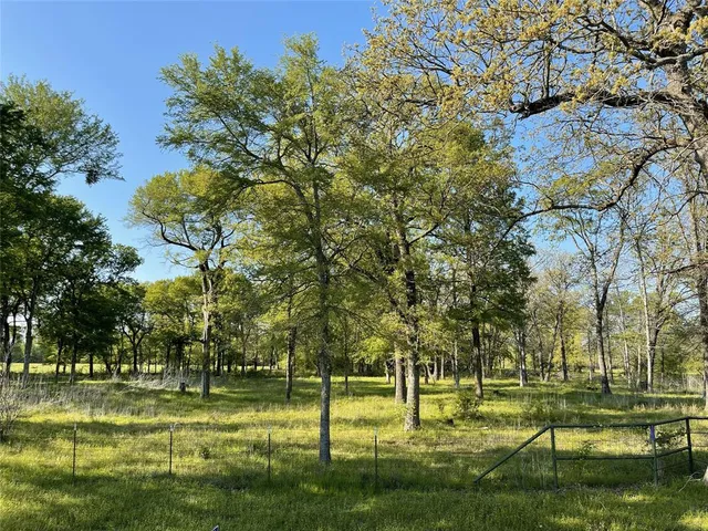 $68,000 | 0 Fm 1563, Wolfe City, TX 75496