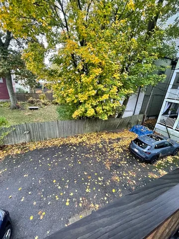 a view of a backyard with plants and trees