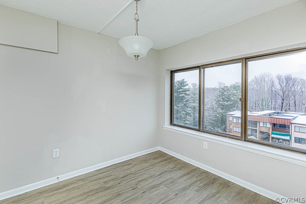 1511 Regency Woods Road, Unit 302 Henrico, VA 23238 - Photo 10 of 23 a view of an empty room with a window and wooden floor