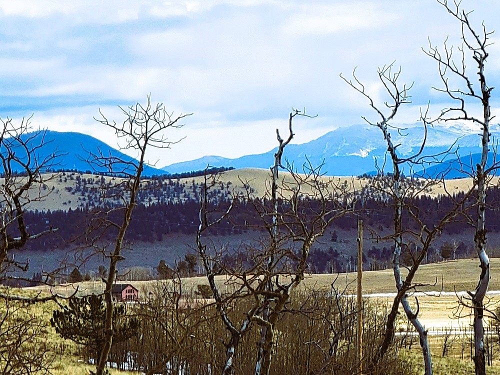 a view of a backyard with a patio