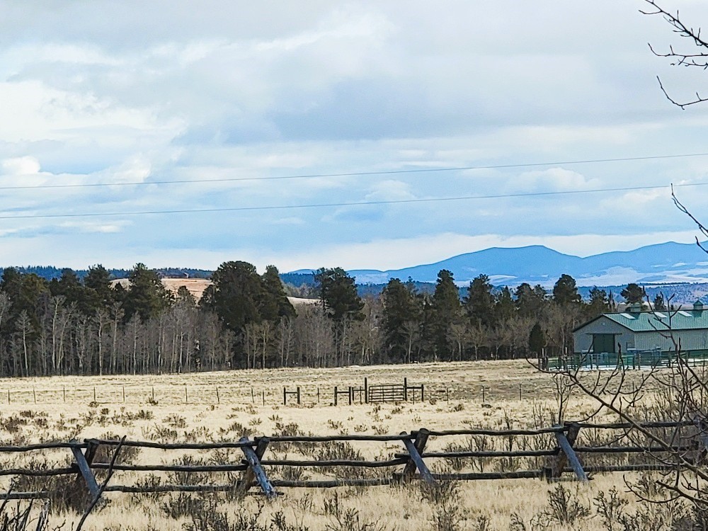 542 Thick Spike Road Fairplay, CO 80440 - Photo 11 of 33 a view of a yard with an ocean